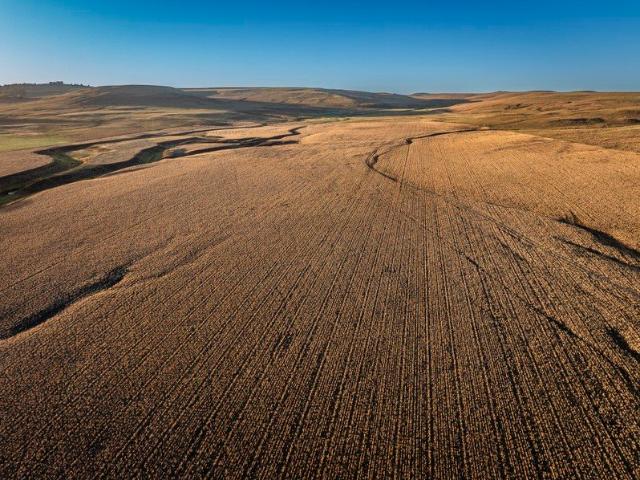 'MAFFRA NORTH' Developed Monaro Grazing and farming