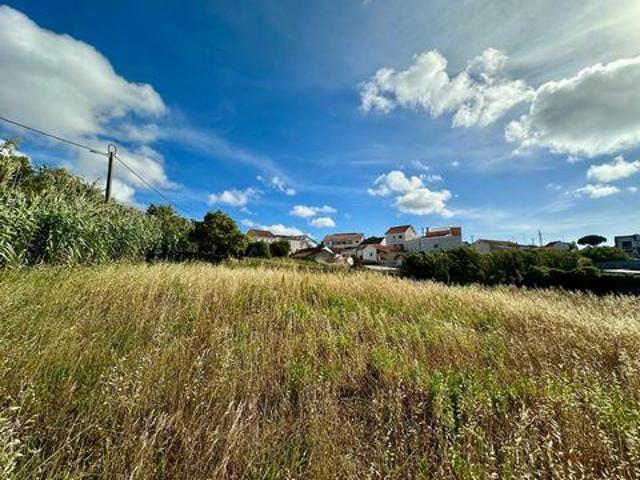 Mafra Lisboa 103218788