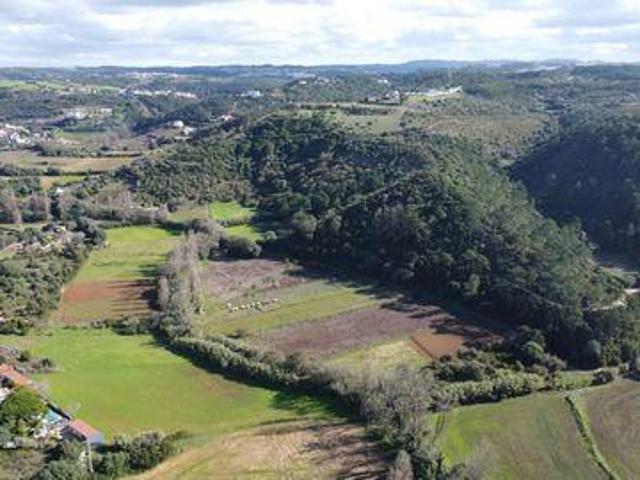 Mafra Lisboa 97114757