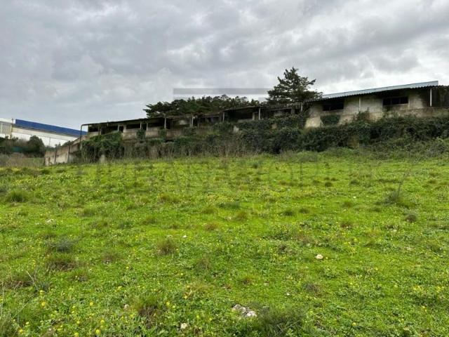 Mafra Mafra 87075211