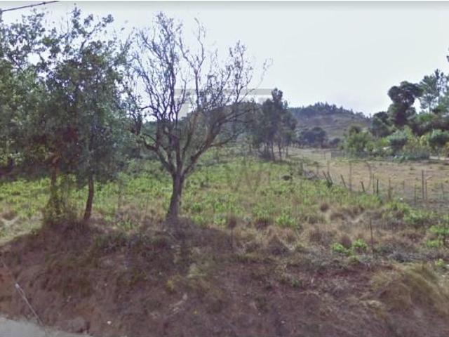 Mafra Mafra 102933349