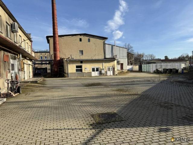 Magazyn na sprzedaż woj. opolskie. Prudnik, 100 000 PLN, 7 502,00 m2
