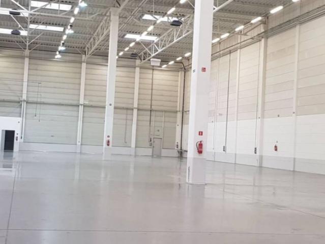 Magazyn do wynajęcia woj. dolnośląskie. Zgorzelec, 20 000 EUR, 5 000,00 m2
