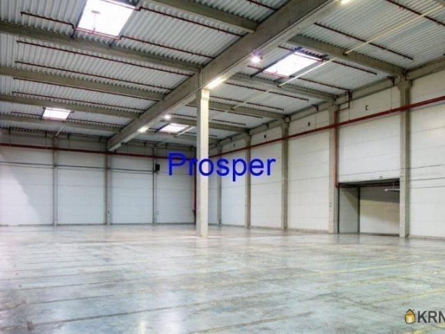Magazyn do wynajęcia woj. małopolskie. Olkusz, 7 000 EUR, 2 000,00 m2
