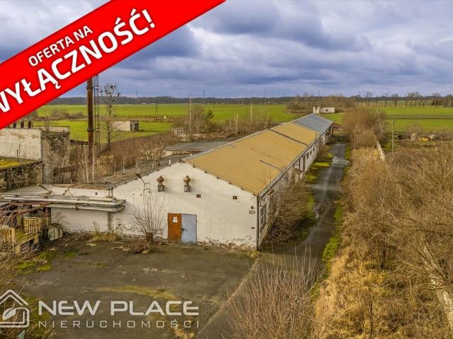 Magazyn 1925 m² z biurami i pozwoleniem na recykling