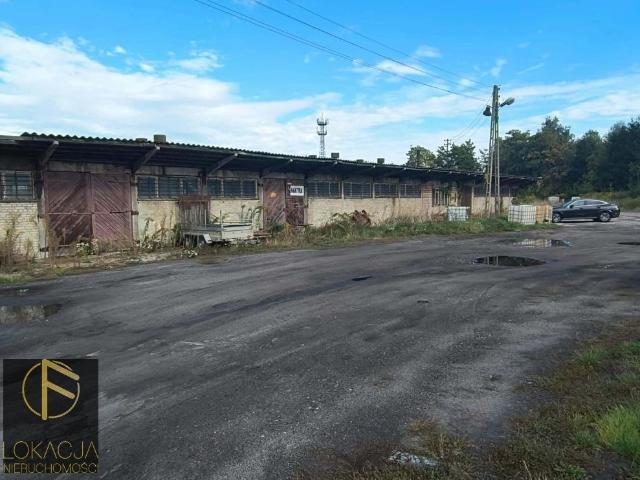 Magazyn 150 m² z możliwością podziału w Kaliszu