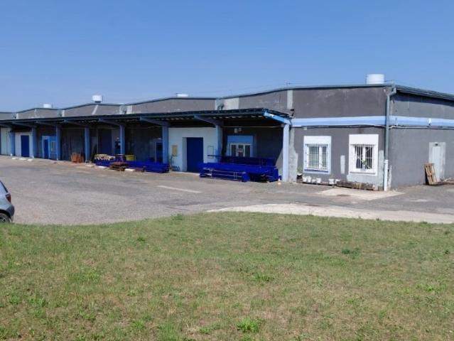 Magazyn 735 m² z biurem w Radomiu polecam