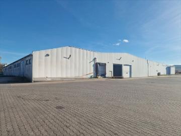 Magazyny i produkcja w Brzezinach, 2970 m², od 15,5 zł/m²