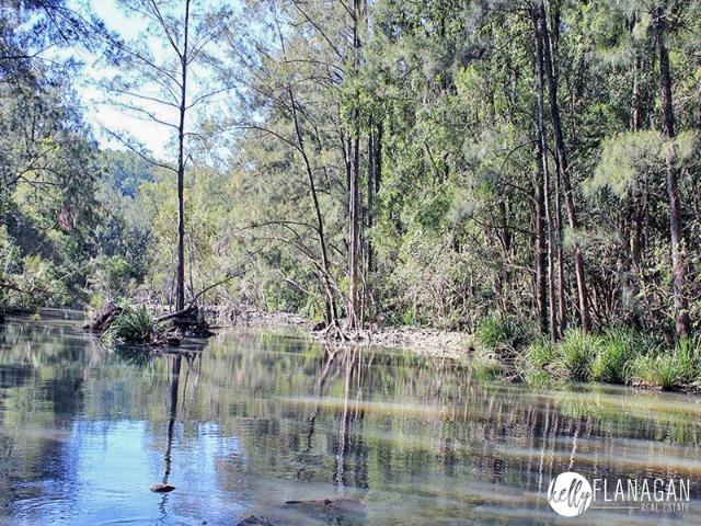 Magic Creek Front Getaway 16Ha. 40Ac