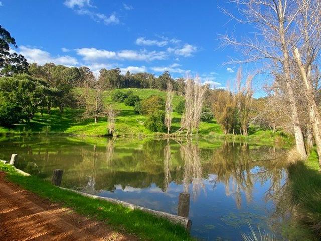 MAGICAL AND SECLUDED 100 acre SLICE OF HEAVEN IN THE HILLS