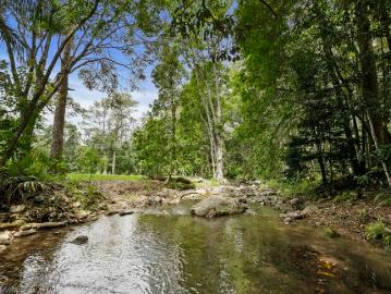 Magical Rainforest Property