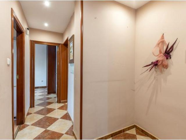 MAGNIFICO CHALET UNIFAMILIAR EN ESQUINA CON PARCELA EN LA URBANIZACION COLONIA DE SAN CONRADO