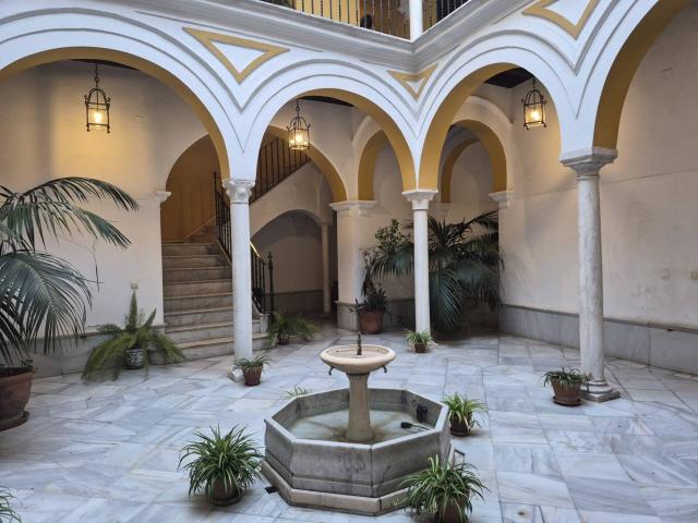 Magnifico apartamento junto al Palacio de las Dueñas