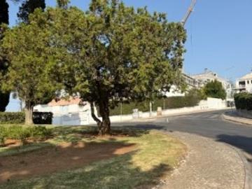 Magnífico Lote de Terreno em Cascais