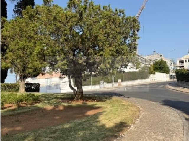 Magnífico Lote de Terreno em Cascais