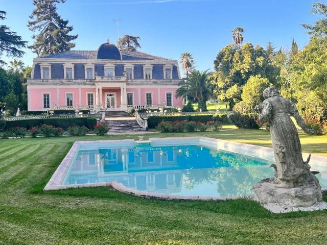 Magnífico Palacete do séc. Xix com Jardim Botânico 0m² Assunção