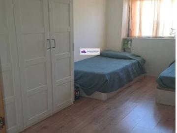 Calle Matricaria, Brillante, Córdoba, Urbanización Torreblanca, Córdoba, Andalucía, Andalucía