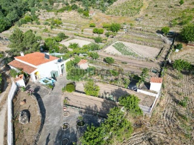 Magnifico terreno agricola com habitação T1 31507 m2 de área em Carviçais Torre de Moncorvo, Distrito de Bragança