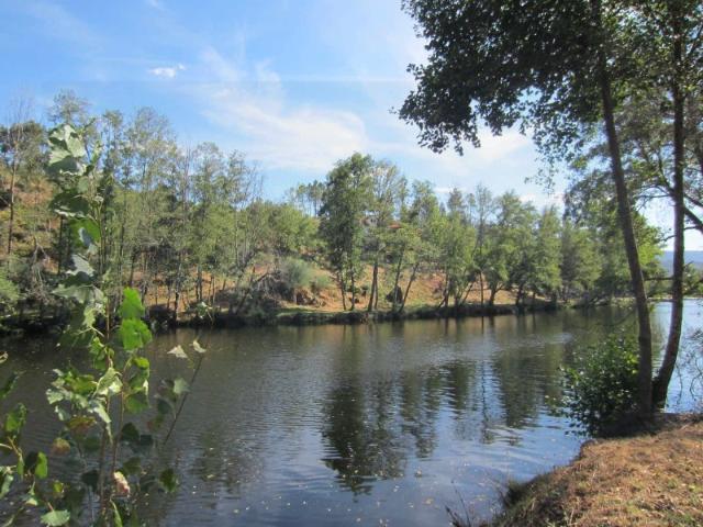 Magnífico terreno com frente rio, com vistas para a serra, a poucos minutos de Coja e Arganil