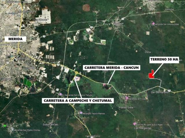 Magnifico terreno de 50 Hectáreas con accesos, Carretera Mérida Cancún