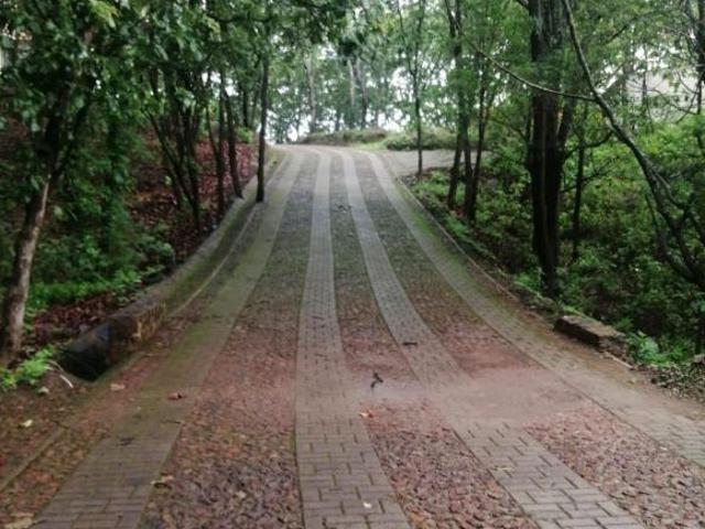 MAGNIFICO TERRENO EN VENTA RESERVA DE LOS ENCINOS, TEUCHTITLAN, JALISCO