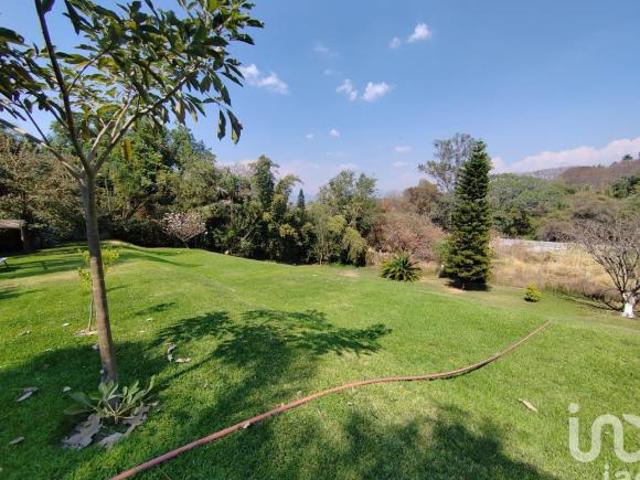 Mágnífico Terreno en Cocoyoc, Amplitud y Seguridad