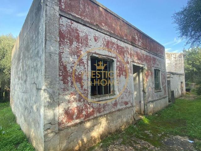 Magnífico terreno misto e plano de 10699 m2, localizado às margens de uma ribeira, com uma ruína de 124 m2, cheia de charme antigo, composta por 4 compartimentos, bem como anexos e um poço