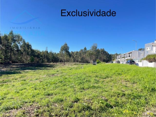 Magnifico terreno para construção em Salir do Porto