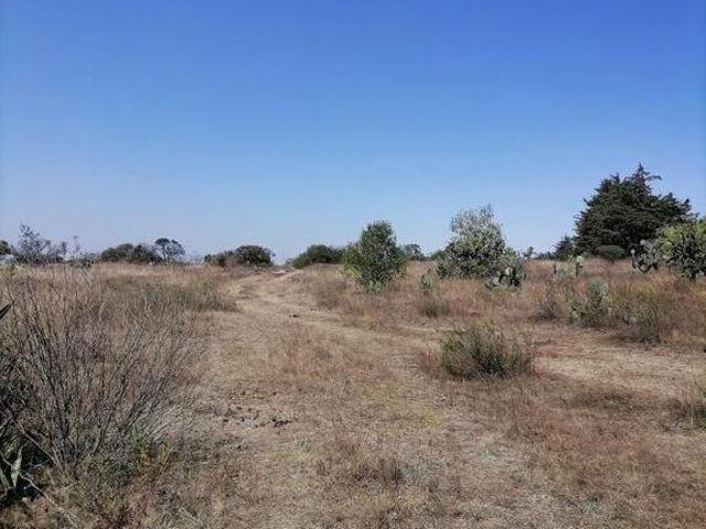 MAGNÍFICO TERRENO RURAL EN HUMILPAN, 10 Ha ESCRITURADO, A UNA HORA DEL CENTRO DE QUERÉTARO