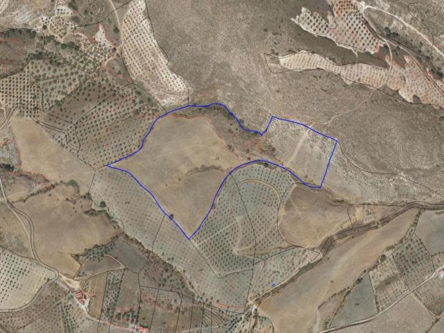 Magnífico terreno Rústico con posibilidad de construir vivienda Rural de hasta 467 metros cuadrados