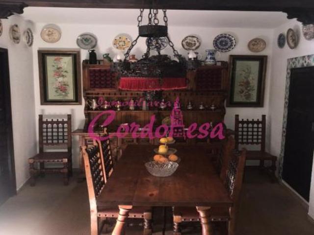 MAGNIFICA CASA SEÑORIAL EN VILLAVICIOSA DE CORDOBA