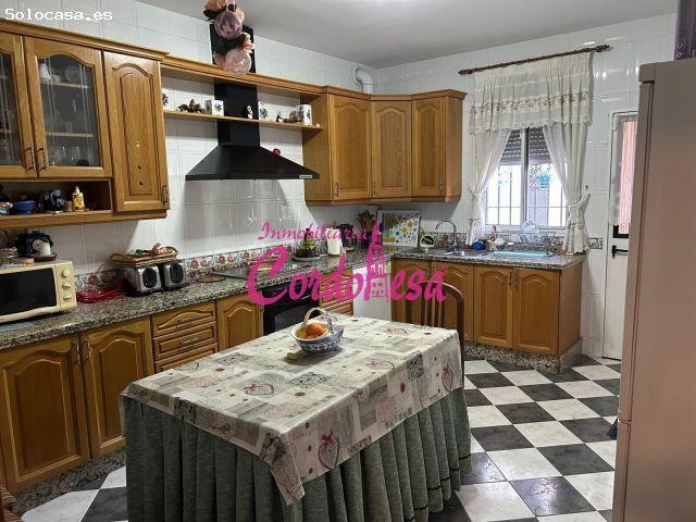 MAGNIFICA CHALET INDEPENDIENTE EN ALCOLEA, CON ZONA DE JARDIN Y ARBOLES FRUTALES!