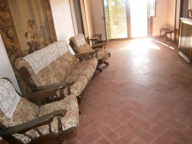 Magnifica Finca