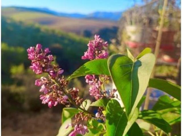 Magnífica finca con cortijo y rodeada de naturaleza en Júrtiga
