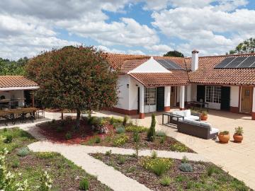 Magnífica Moradia T4+1 com Piscina, Jardim e Anexo 208m² São Vicente Do Paul