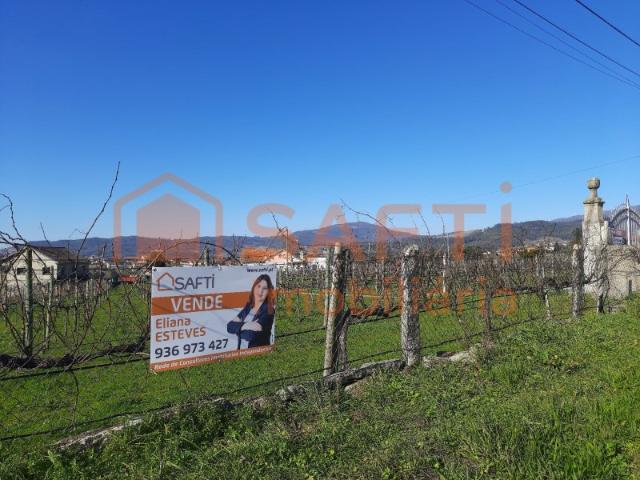 Magnifica Quinta com Moradia T4 e Vinha