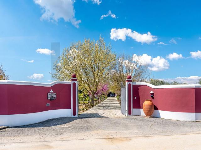 Magnífica Quinta com Piscina e Olival em Reguengos de Monsaraz