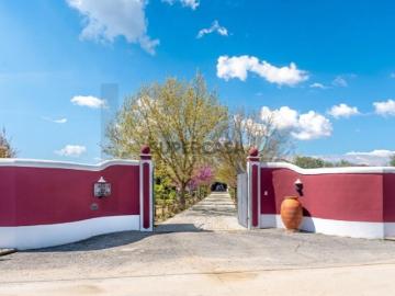 Magnífica Quinta com Piscina e Olival em Reguengos de Monsaraz