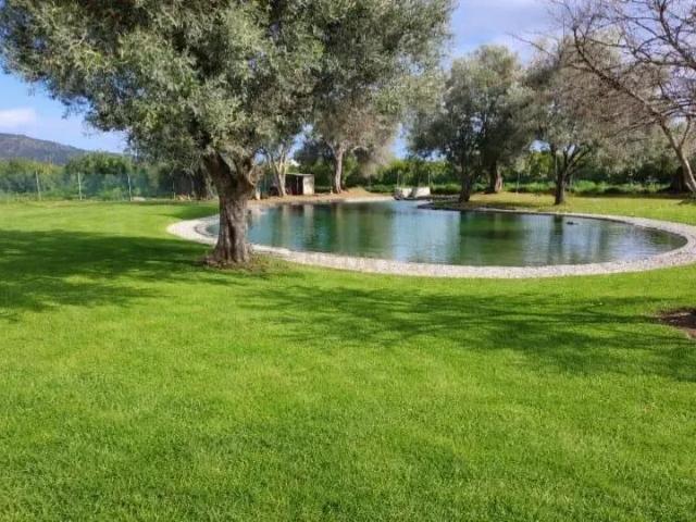 Magnifica Quinta em Olhão, Faro 10 Quartos e 11 Casas de B. 488m² Moncarapacho e Fuseta