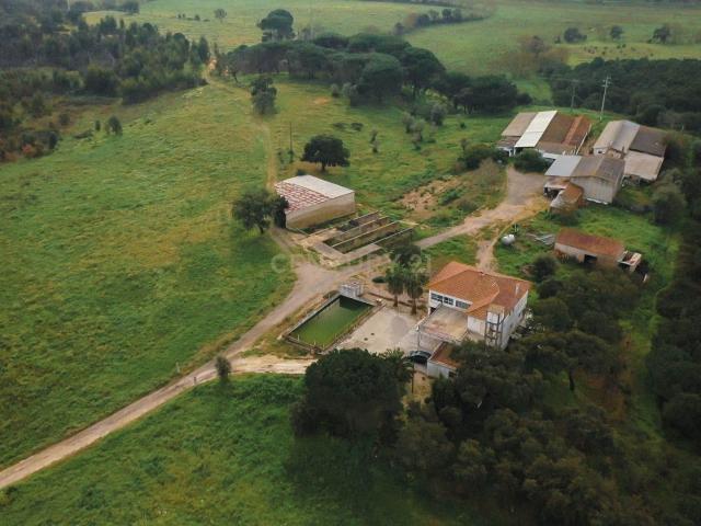 Quinta com 24 hectares no centro de Santarém – Excelente oportunidade para Turismo Rural ou Exploração Agrícola