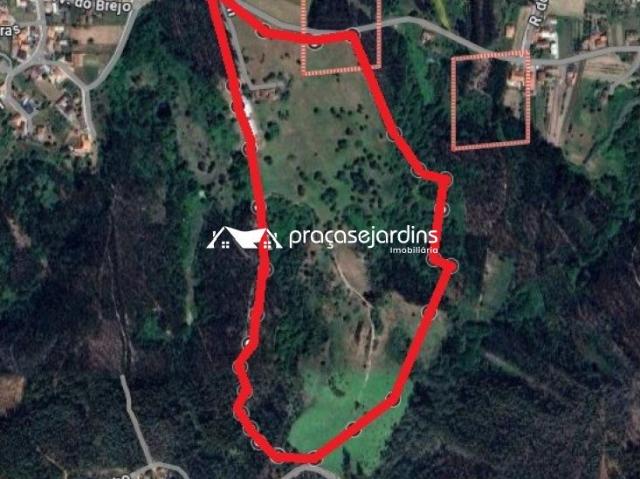 Magnifica Quinta em Zona Tranquila