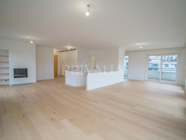 Magnificent 8.5 room duplex apartment in a luxury residence