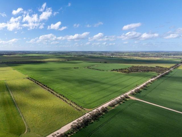 Magnificent 120.1 HA Rural Holding
