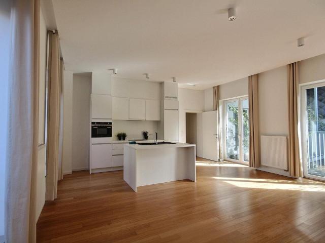 Magnificent 1 bedroom apartment with large terrace