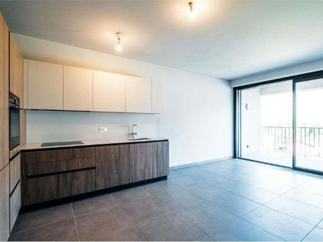 Magnificent 2.5 room apartment Solaia Ascona