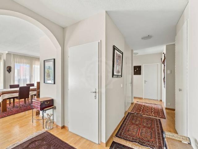Magnificent apartment – Le Grand Saconnex