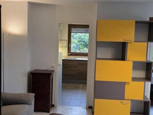 Magnificent furnished 2 room apartment with terrace of 57m2 two minutes from the lake/St Sulpice VD