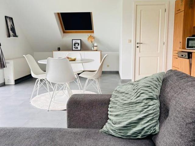 Magnificent furnished apartment