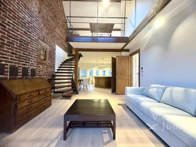Magnificent furnished duplex penthouse 1 bedroom + office