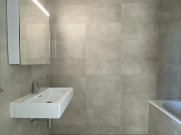 Magnificent recent 4.5 room apartment in the attic in Eysins